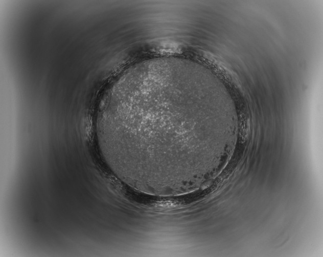 X0000093620704200710221546