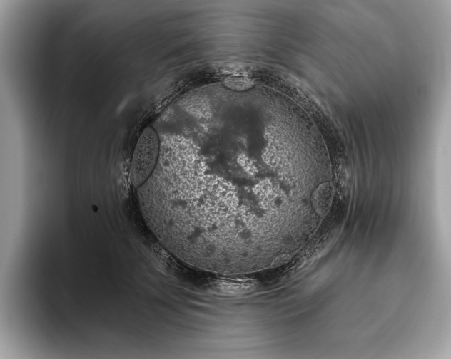 X0000093620707200710221546