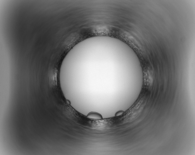 X0000093620717200710221546