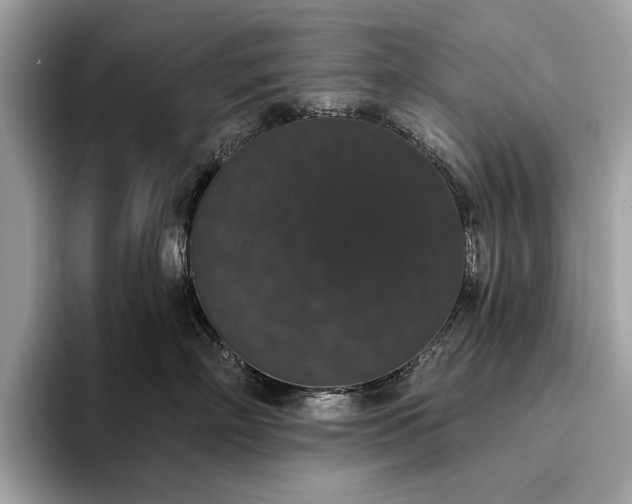 X0000093620718200710221546
