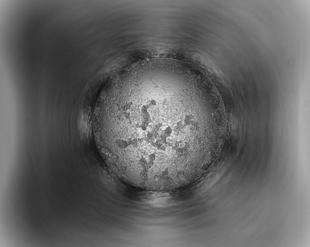 X0000093620719200710221546