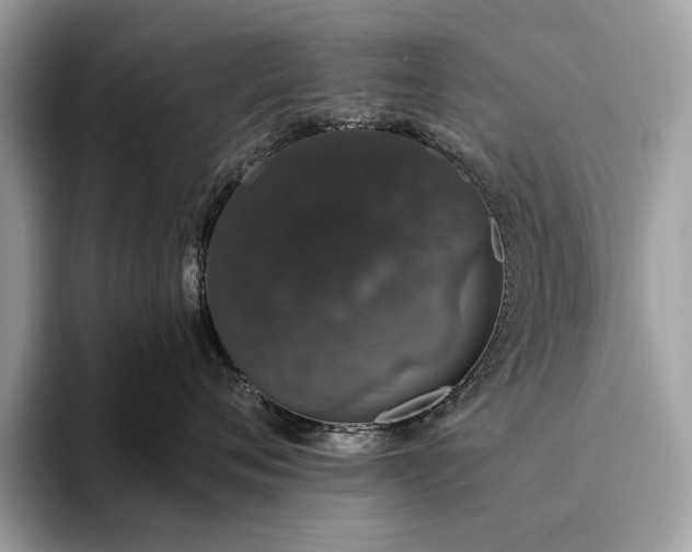 X0000093620720200710221546