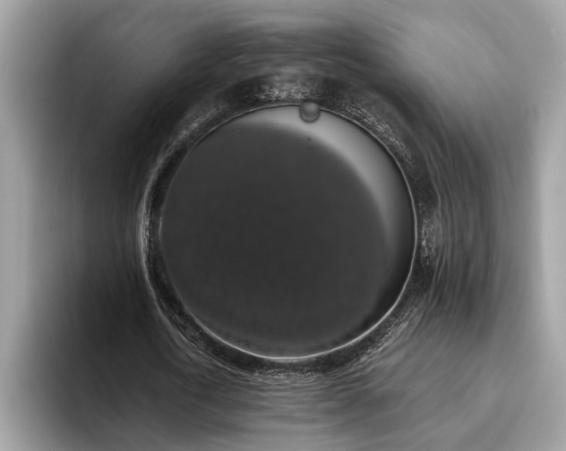 X0000093620722200710221545