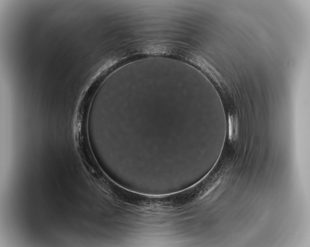 X0000093620723200710221545