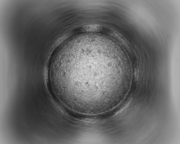 X0000093620725200710221545