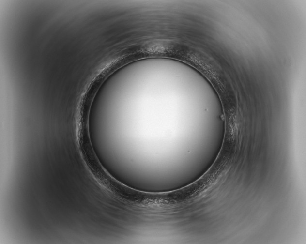 X0000093620728200710221545