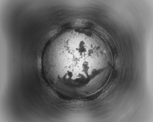 X0000093620729200710221545