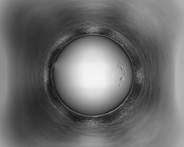 X0000093620732200710221545