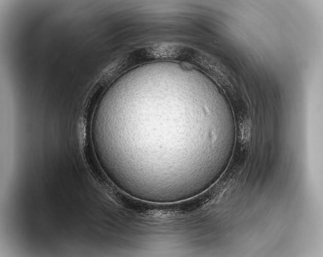 X0000093620733200710221545