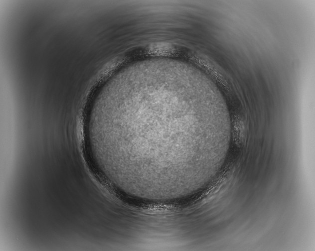 X0000093620734200710221545