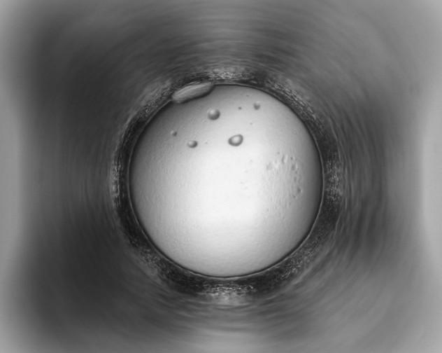X0000093620738200710221545