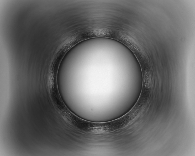 X0000093620740200710221546