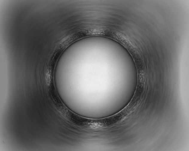 X0000093620741200710221546
