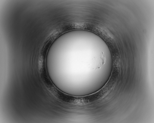 X0000093620744200710221546