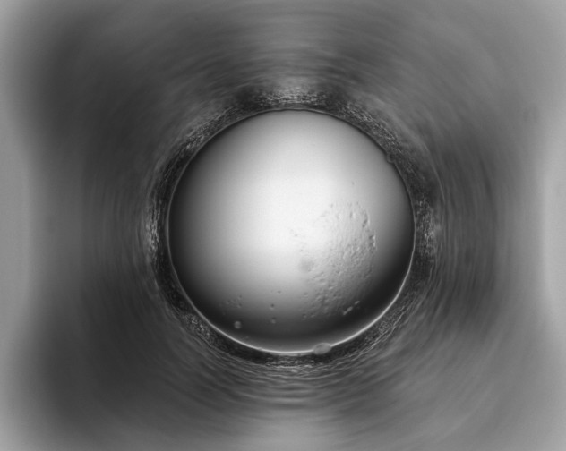 X0000093620746200710221546