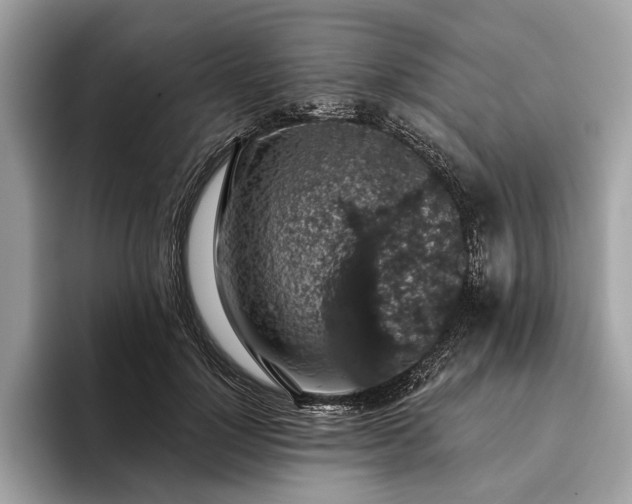 X0000093620748200710221546
