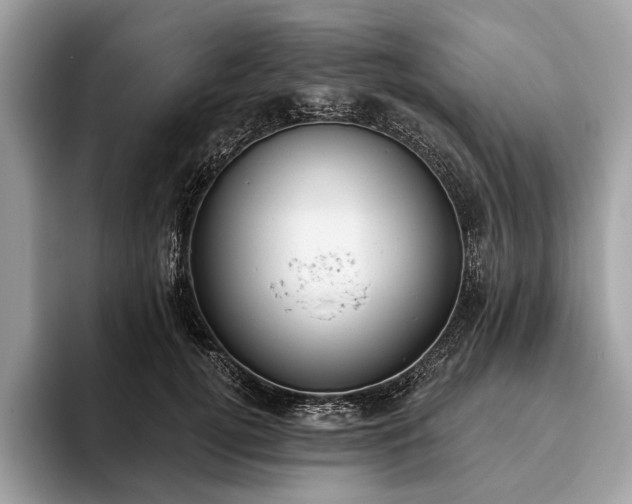 X0000093620752200710221546