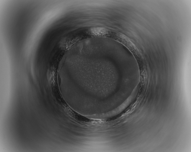 X0000093620762200710221546