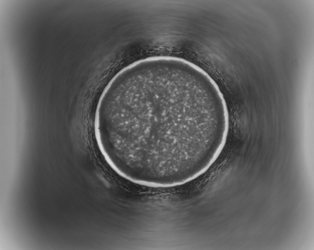 X0000093620769200710221545
