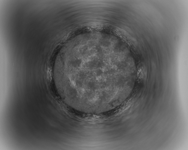 X0000093620772200710221545