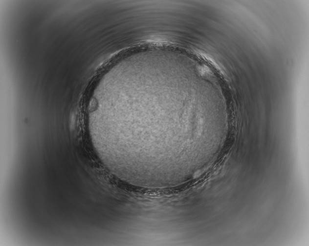 X0000093620776200710221545