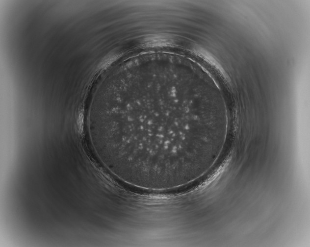 X0000093620777200710221545