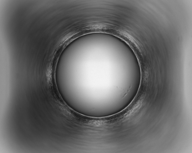 X0000093620778200710221545
