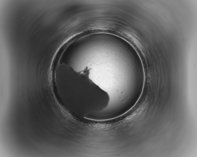 X0000093620779200710221545