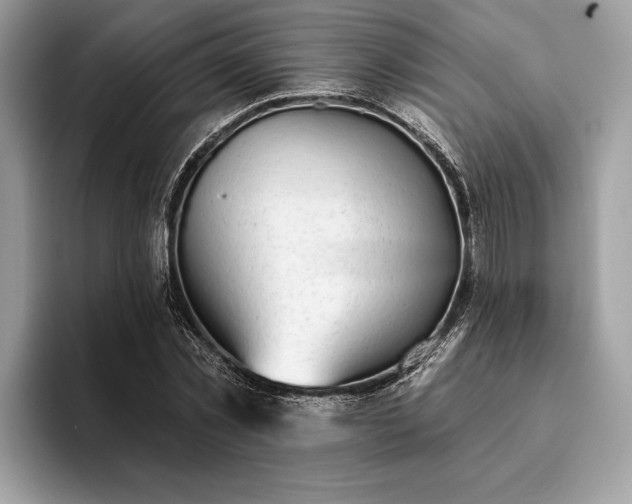 X0000093620781200710221545