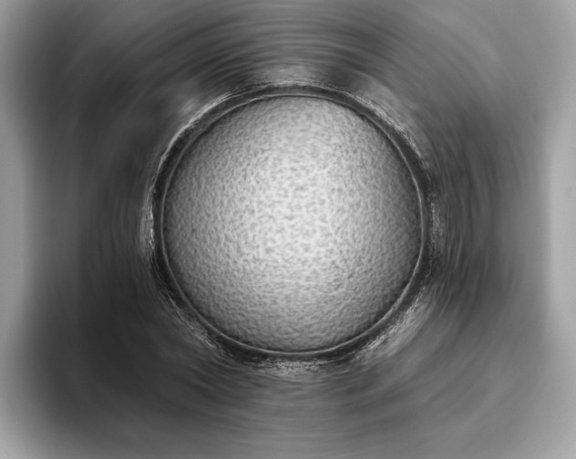 X0000093620782200710221545