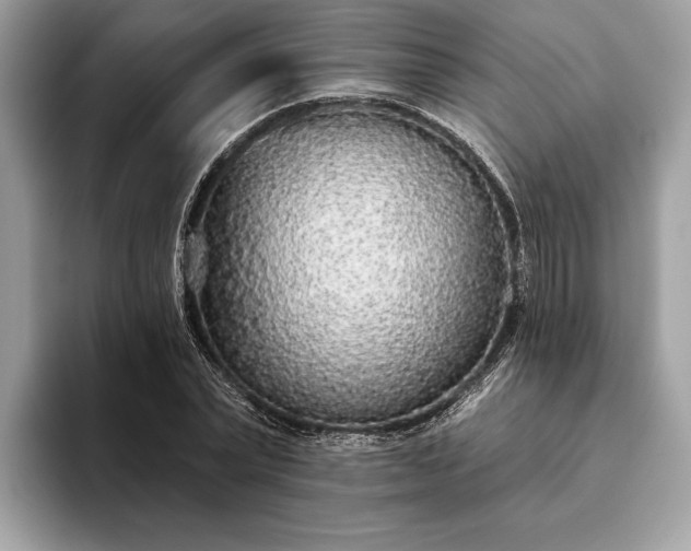 X0000093620783200710221545