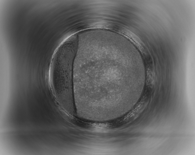 X0000093620788200710221545