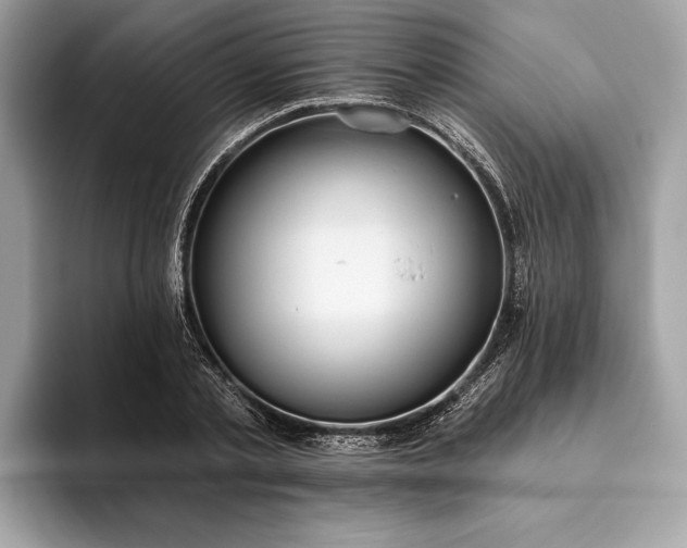 X0000093620789200710221545