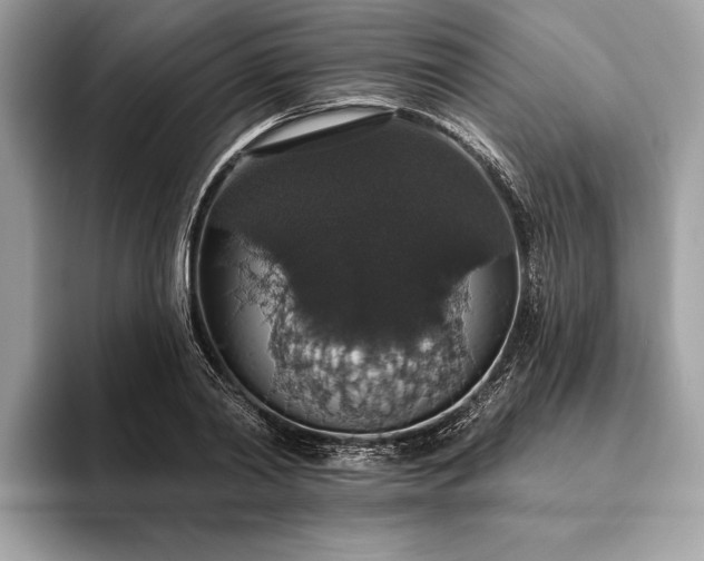 X0000093620790200710221545