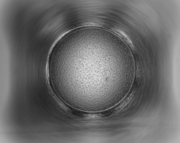 X0000093620796200710221545