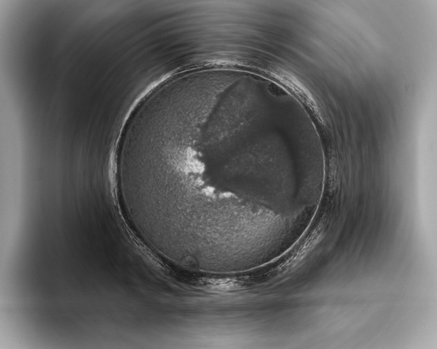X0000093620798200710221545