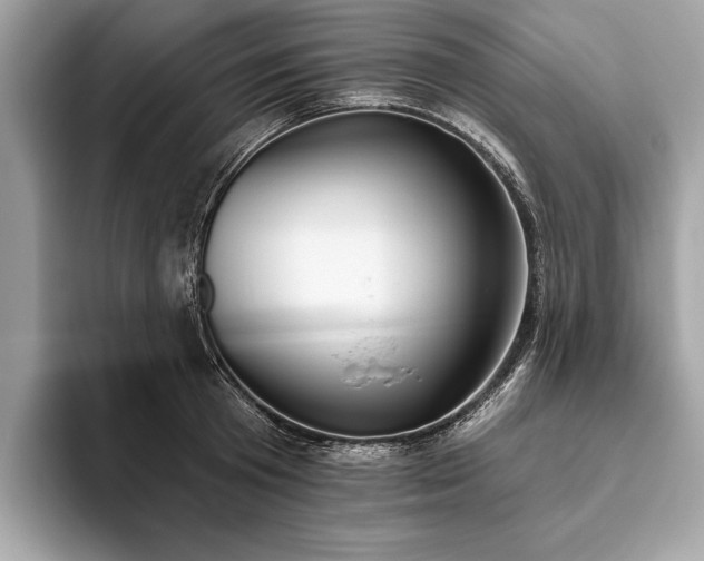 X0000093620801200710221545