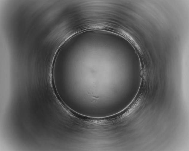 X0000093620802200710221545