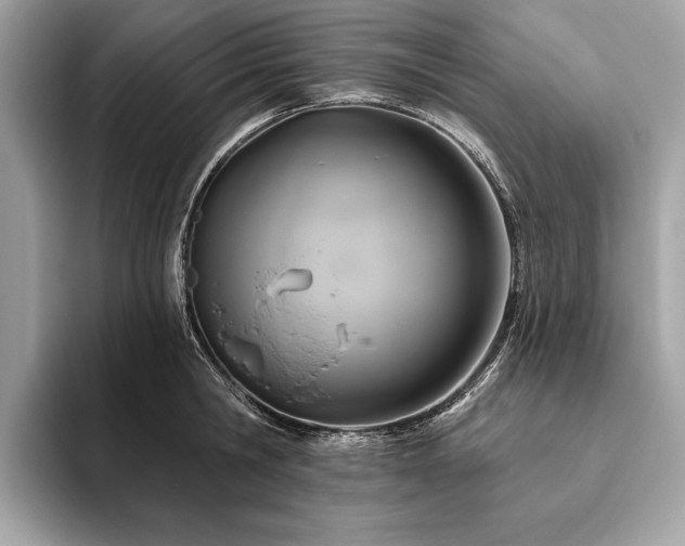 X0000093620806200710221545