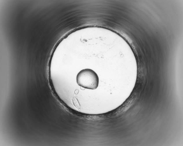 X0000093620807200710221545