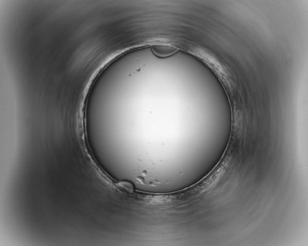 X0000093620808200710221545