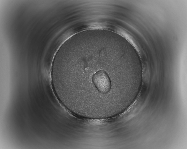 X0000093620810200710221545