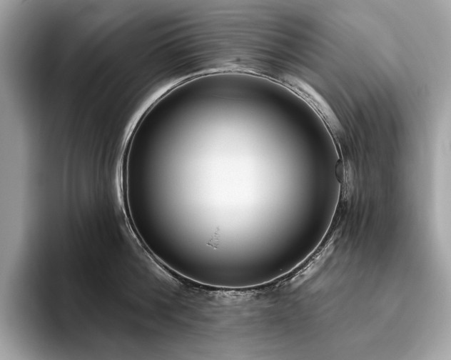 X0000093620812200710221545