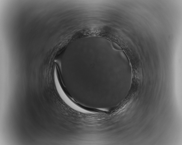 X0000093620818200710221544
