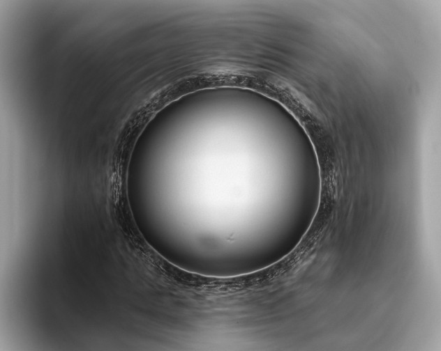 X0000093620821200710221544