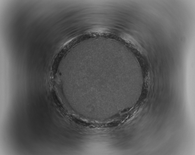 X0000093620822200710221544