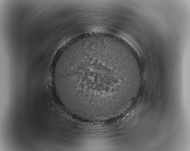 X0000093620823200710221544
