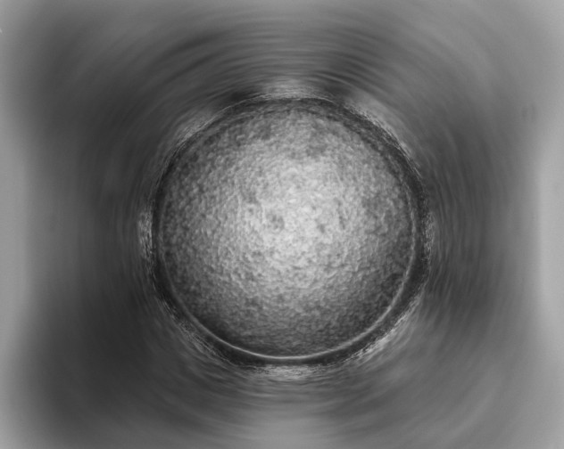 X0000093620825200710221544