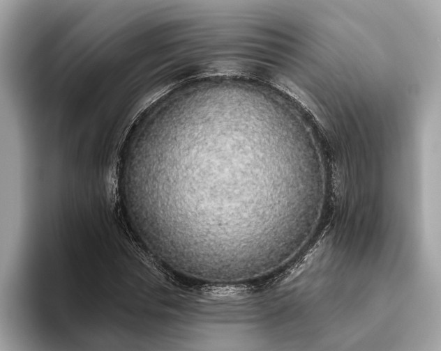 X0000093620826200710221544