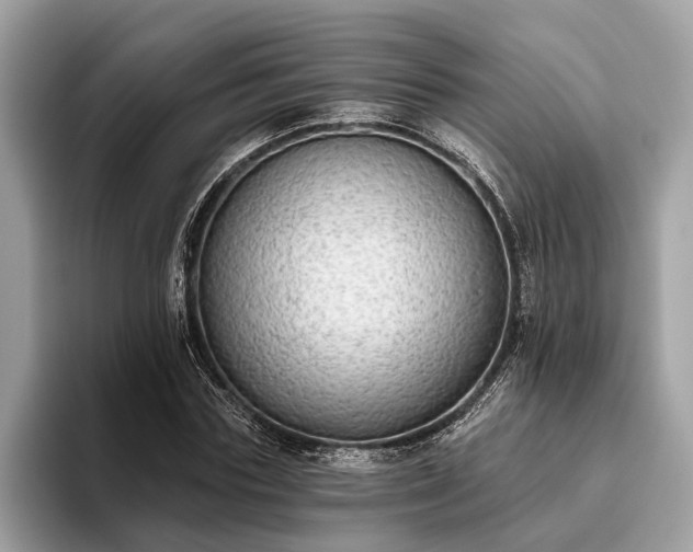 X0000093620827200710221544